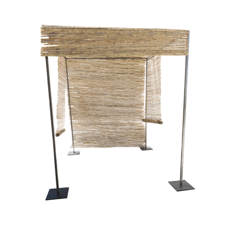 Toldo